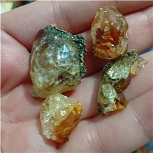 صمغ درختی کهربا بسیار زیبا تکه های درخت