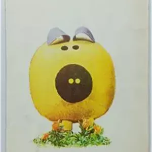 خوک شیک پوش سپهر سهیل  پدیده