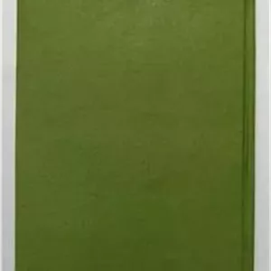 کنسول افتخاری _ گراهام گرین _ احمد میر علائی