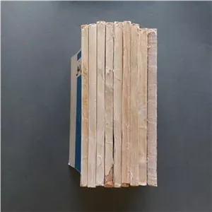 مجله جهان نو
