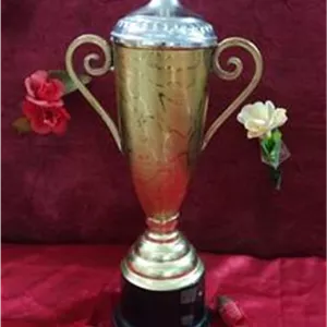 کاپ وجام قهرمانی ورزشی زیبا