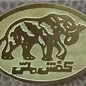 بج سنجاق سینه کفش ملی
