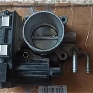 دریچه برقی گاز گریت وال هاوال m4
