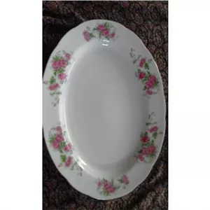 دیس بزرگ ژاپنی گل سرخی