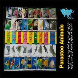 سری کامل پرستو حیوانات با فول پوسته  نایاب
