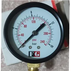 گیج فشار ایستاده 16 بار خشک 6 سانتی متر اف جی FG
