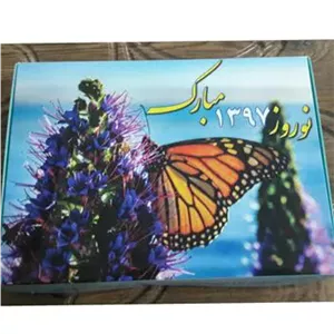 پک کبریت کلکسیونی پروانه ها