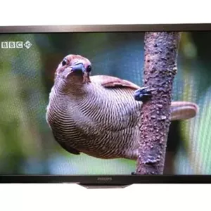 تلوزیون LED Ful HD فیلیپس