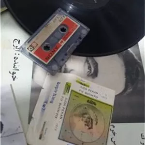 نوار کاست ترکی آژدا پکان عکس دار ضبط پهلوی