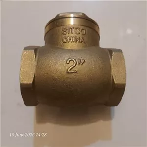 شیر یکطرفه خودکار دریچه ای 2 اینچ 