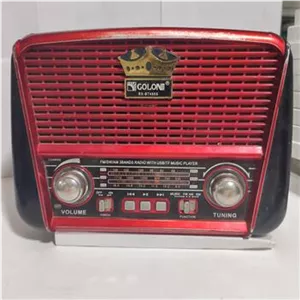 رادیو تمام موج گولون مدل RX-BT455S