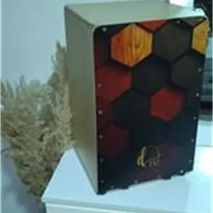 کاخن حرفه ای DZ