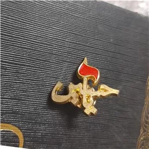 بچ سنجاق سینه