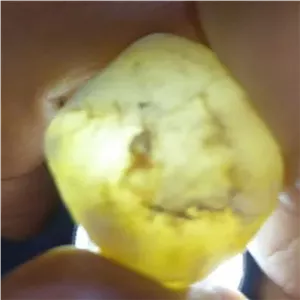 مهره سنگ راف کهنه یاقوت اپال