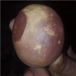 مهره سنگ راف کهنه الماس آسیاب گبری