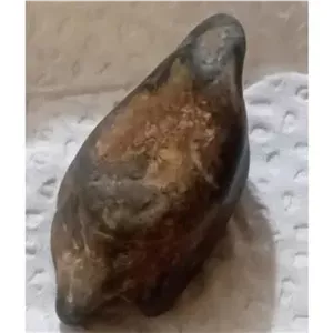 شهاب سنگ کندریتی بسیار ارزشمند شمایلدار