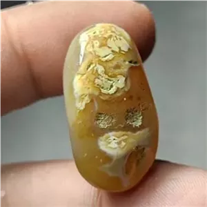 سنگ نایاب روح دار سلطانی حجازی همه کاره فعال