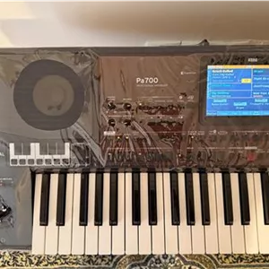 کیبورد(ارگ) korg pa700 اورینتال (خانگی)