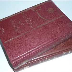 سر نی ؛ دو جلدی ؛ گالینگور