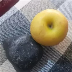 شهاب سنگ،به وزن 600 گرم در ابعاد10×5