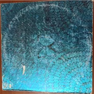 صفحه گرام Santana