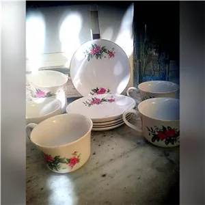 یکدست فنجان و نعلبکی گل سرخی با فیزیک خاص