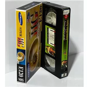 فیلم VHS ارنست گنج یاب می شود (خارجی)