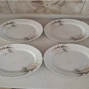 4 دیس زرین زیبا طبق توضیح