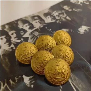 6 عدد دگمه سوئدی