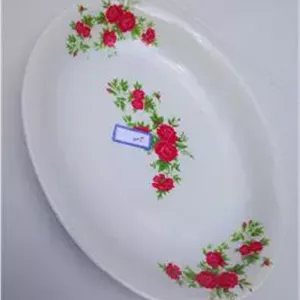 دیس ملامینه مرغ خوری گلسرخی مارال نو غیرآکبند