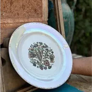 بشقاب چینی نقش دار