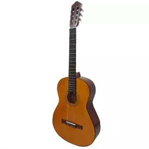 گیتار C40 با کاور ضمانت 1 ساله