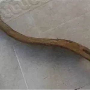 چفت شب بند کلون قاجاری سایز بزرگ مدل خاص