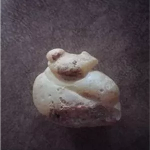 سنگ قورباغه کمیاب