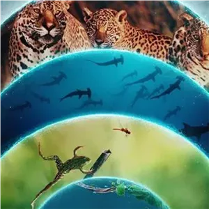 مستند دنیای زنده ما با دوبله فارسی 2024