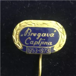 بج مینا پرگاوا1973-1953