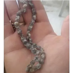 یک بند دکمه قلع و سرب قدیمی