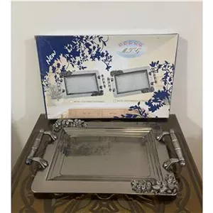 سینی استیل MGS
