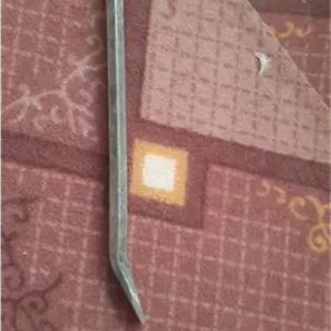 تالیور دو سر کچ