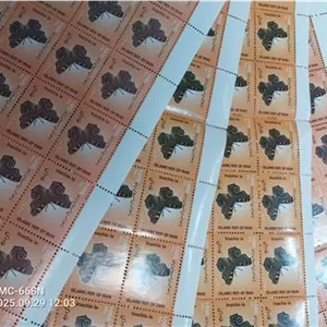 4ورق ارور تفاوت رنگ زمینه و پروانه وسط