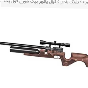 تفنگ پی سی پی کرال بیگ