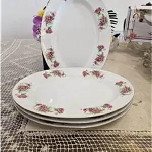 چهار عدد دیس گلسرخی المانی