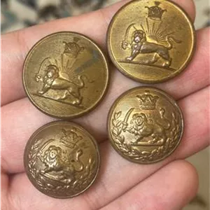 4 دکمه شیروخورشید