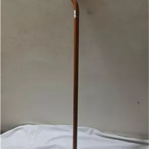 دیلم 80 سانتی NWS