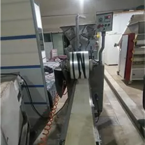 همبرگر زن تک قالب پرچمی