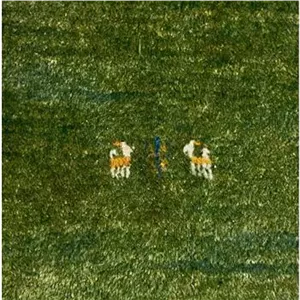 گبه دستباف قشقایی