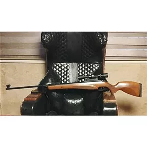 تفنگ دیانا مگنوم 350 کالیبر 55 نیترو پیستون