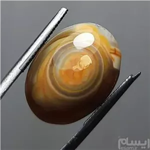 باباقوری طوقدار نی نی دار میزان اصل معدنی