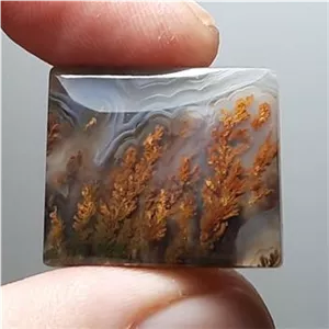 شجر منظره چند رنگ طبیعی فردوس خراسان