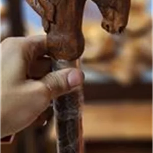 عصا چوب گردو همه مدل